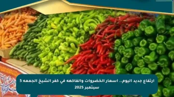 ارتفاع جديد اليوم.. أسعار الخضروات والفاكهة في كفر الشيخ الجمعة 5 سبتمبر 2025